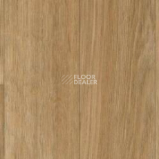 Линолеум Gerflor Taralay Initial Comfort 0636 Esterel Blond фото 1 | FLOORDEALER